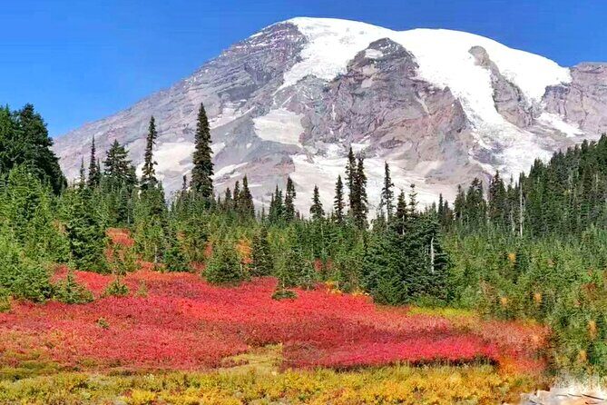 Small Group Mt Rainier National Park Day Tour from Seattle 2CanGo - Who This Tour Is Best For