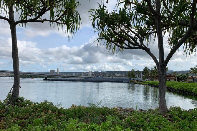 Small Group-Oahu Tour, Dole Plantation, Northshore, Sunset Beach - Value and Pricing