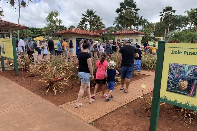 Small Group-Oahu Tour, Dole Plantation, Northshore, Sunset Beach - Final Thoughts