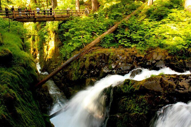 Small Group Olympic National Park Day Tour from Seattle 2CanGo - A Deep Dive into the Experience