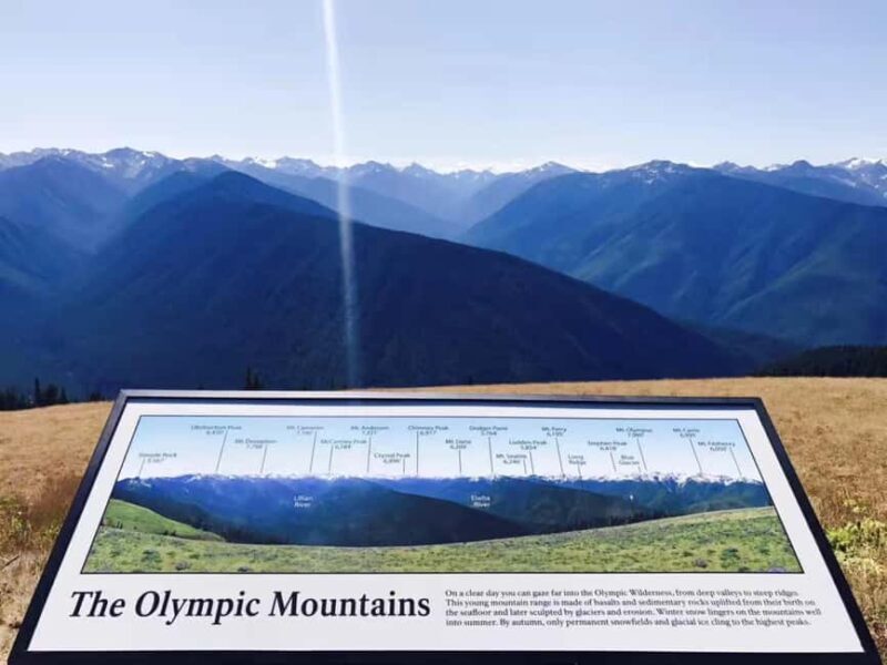 Small Group: Olympic National Park Day Tour From Seattle - Key Points