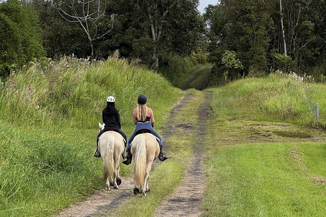 Small Group Rainforest Trail Ride - Key Points