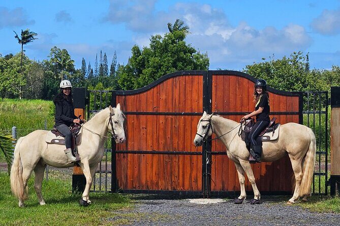 Small Group Rainforest Trail Ride - A Closer Look at the Rainforest Trail Ride Experience