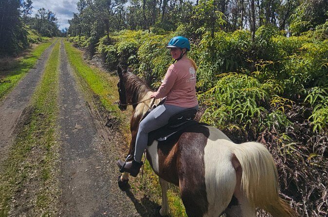 Small Group Rainforest Trail Ride - Final Thoughts
