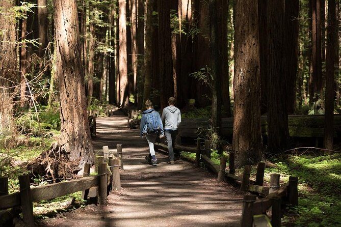 Small Group Redwoods, California Coast & Sausalito Day Trip from San Francisco - The Itinerary: What You Can Expect
