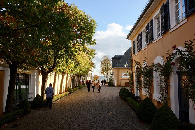 Small Group Rheingau Vineyards Tour with Castles and Abbeys - The Itinerary: A Deep Dive