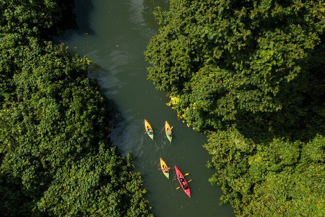 Small Group River Kayaking Tour from Port Vila - What to Expect from the Tour