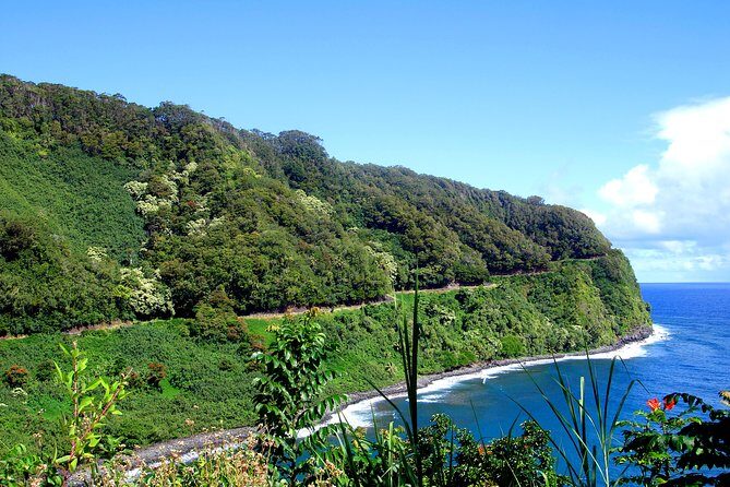 Small-Group Road to Hana Luxury Tour - The Experience in Detail