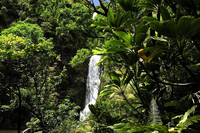 Small-Group Road to Hana Luxury Tour - FAQs