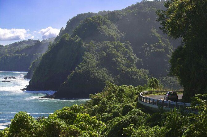 Small Group Road to Hna Tour 6 to 8 passengers - Discover the Road to Hana in Maui: A Guide to the Small Group Tour