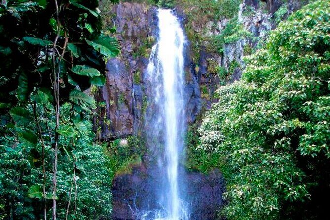 Small Group Road to Hna Tour 6 to 8 passengers - Is It Worth the Cost?