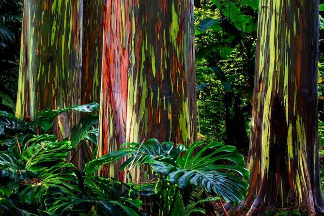 Small Group Road to Hna Tour 6 to 8 passengers - Final Thoughts