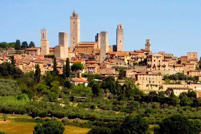 Small group San Gimignano, Tuscany & Pisa from Florence - Who Would Love This Tour?