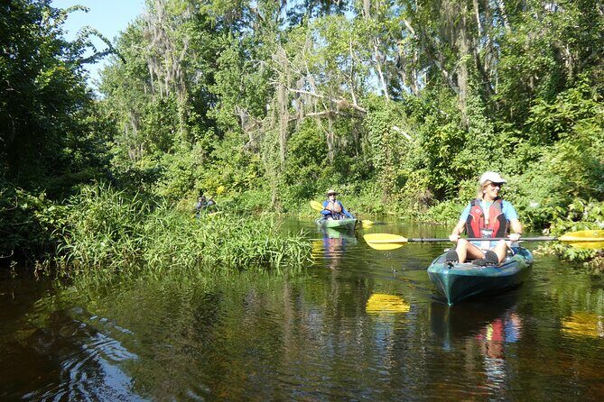 Small Group Scenic Wekiva River Kayak Tour near Orlando - Who Will Love This Tour?