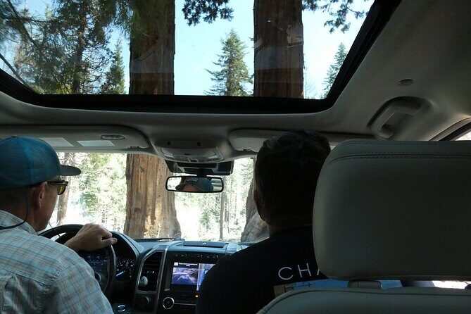 Small Group Sequoia Tour from Wuksachi Lodge with Lunch - Who Is This Tour Best Suited For?