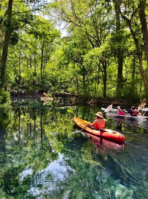 Small Group Silver Springs State Park Day Tour from Orlando - The Value: Is It Worth the Price?