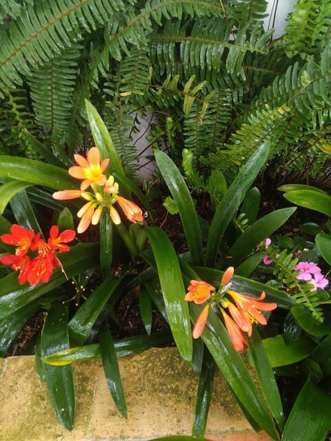 Small Group Sintra-Cabo Roca-Cascais the Portuguese Riviera - FAQs