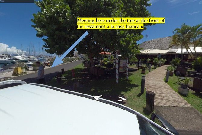 Small group snorkeling (5 people max): Turtles at 7:30am - A Closer Look at the Tour Experience