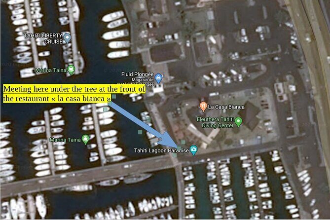 Small group snorkeling (5 people max): wrecks & tropical fishes at 10:30am - Key Points