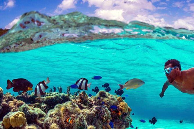 Small group snorkeling (5 people max): wrecks & tropical fishes at 10:30am - The Sum Up