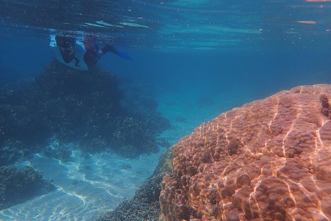 Small group snorkeling (5 people max): wrecks & tropical fishes at 10:30am - FAQ