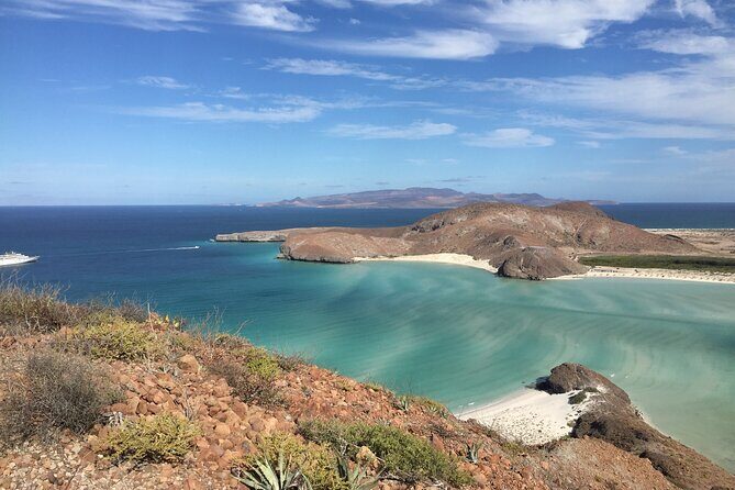 Small Group Snorkeling and Swim with Whale Sharks & Sea Lions in La Paz - Exploring the Experience in Detail