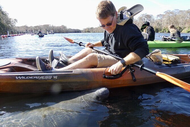 Small Group Sunset Paddle Among Manatees near Orlando - The Experience in Detail