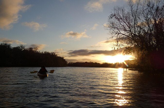 Small Group Sunset Paddle Among Manatees near Orlando - Final thoughts