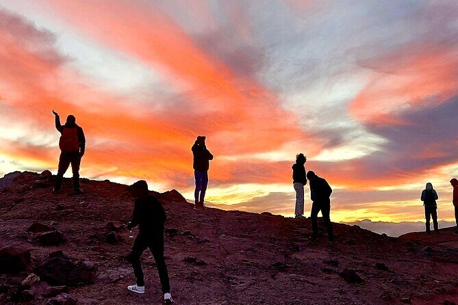 Small Group Teide National Park Volcanic and Forest Wonders - An In-Depth Look at the Tour Experience