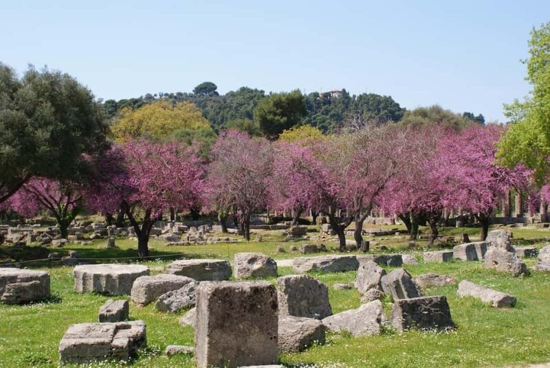 Small Group Tour Ancient Olympia & Local Delicacies Tasting - Exploring Olympia: A Journey Through Time