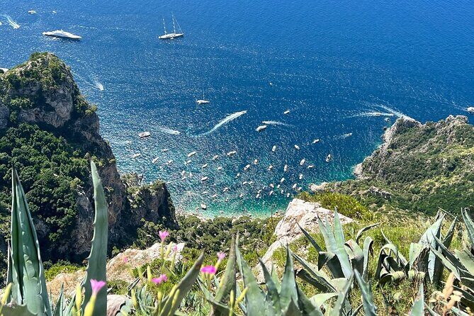 Small Group Tour from Rome to Blue Grotto, Anacapri and Capri - Frequently Asked Questions