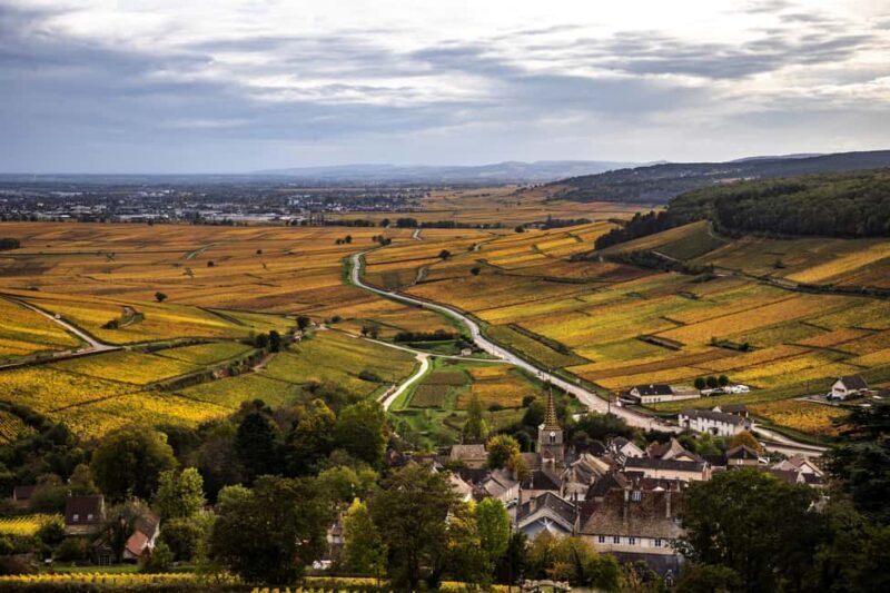 Small group tour Morning in Côte de Beaune - What to Expect from the Côte de Beaune Morning Tour