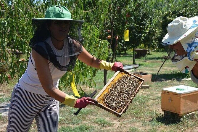 Small Group Tour of Ancient Olympia and Local Food Tasting - Stop 4: Leisure in Modern Olympia