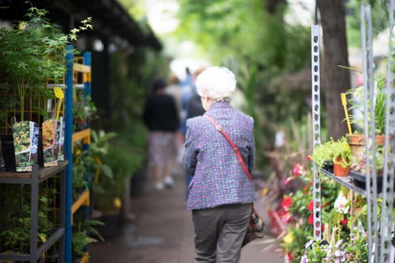 Small group tour of Paris: Ile de la Cité & Ile Saint-Louis - Final Thoughts