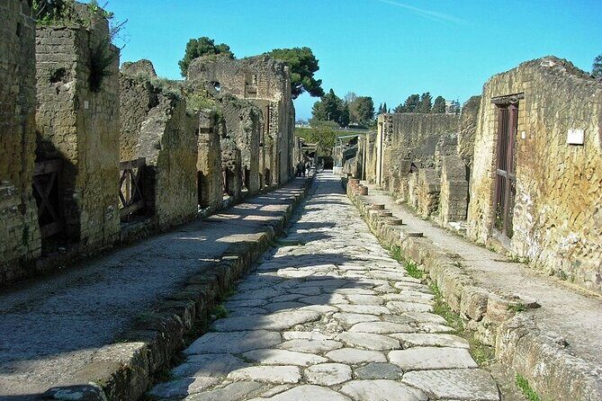 Small Group Tour Pompeii and Herculaneum from Rome - Final Thoughts