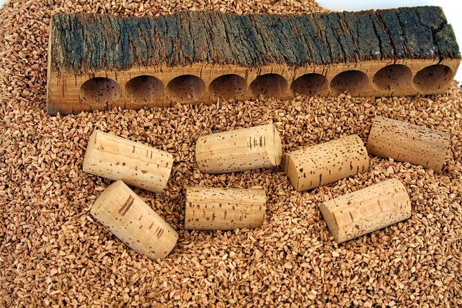 Small Group Tour - Tempio Pausania, Luras, The Gallura County- SARDINIA - ITALY - Key Points