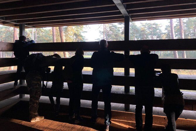 Small Group Tour to NP Hoge Veluwe (van Gogh) from Amsterdam - The Bottom Line: Is This Tour Right for You?