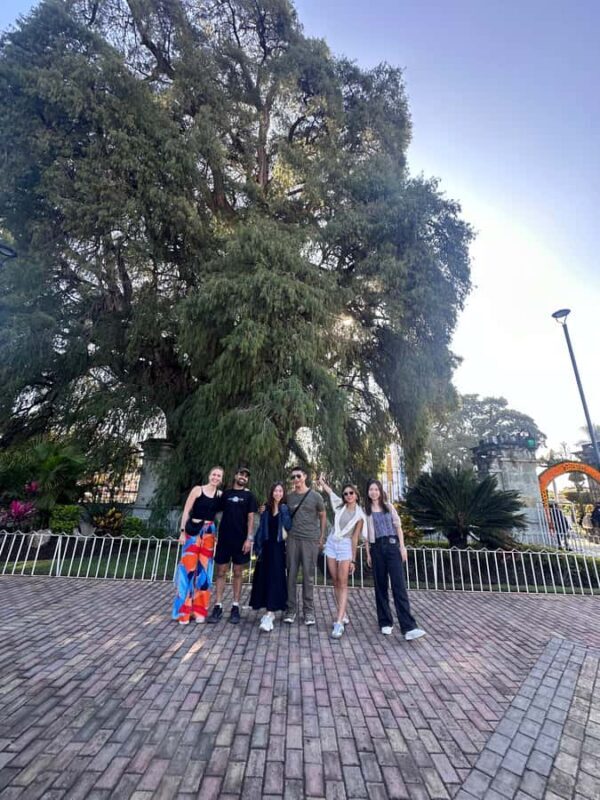 Small group tours: Hierve el Agua, Mezcal, Teotitlán, Mitla and Tule. - The Full Experience: What to Expect from Each Stop