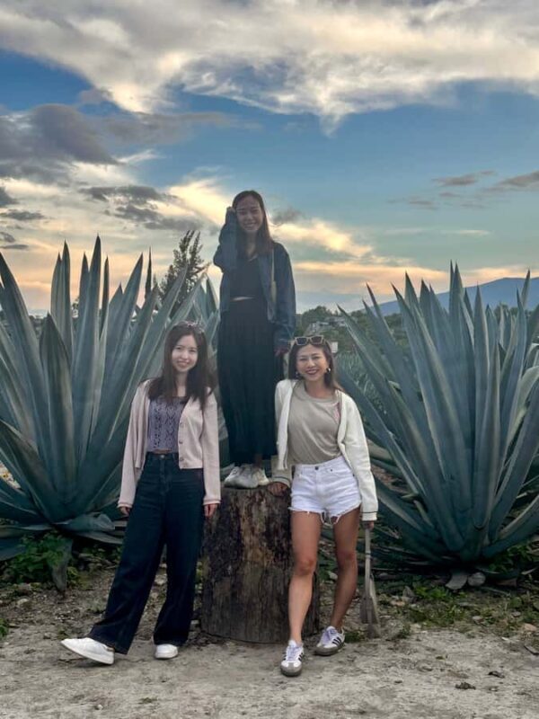 Small group tours: Hierve el Agua, Mezcal, Teotitlán, Mitla and Tule. - What We’re Taking Away from This Tour
