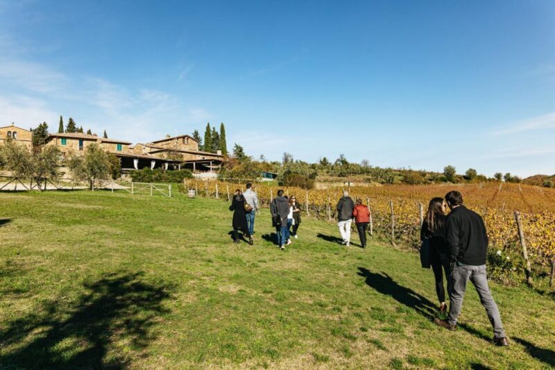 SMALL GROUP Tuscany Wine Tasting Safaris with Lunch / Dinner - The Sum Up