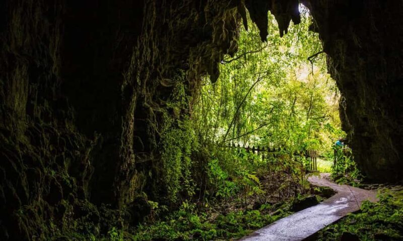 Small-Group Waitomo Glowworm Caves Day Tour from Auckland - Departure and Transportation