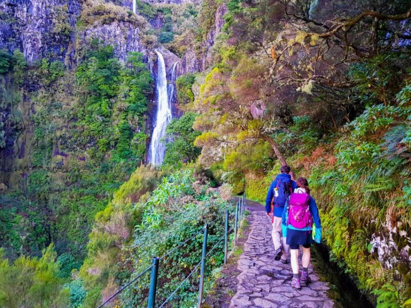 Small Group Walks Rabaçal 25 Fontes - A Deep Dive into the Rabaçal 25 Fontes Experience