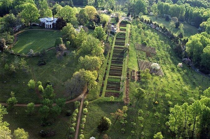 Small Group Washington DC to Thomas Jefferson Monticello Day Tour - Final Thoughts