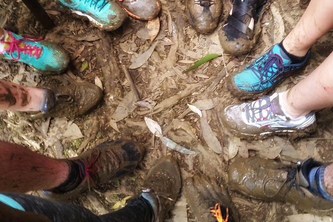 Small Group Waterfall and Rainforest Hiking Adventure on Maui - The Food and Refreshments