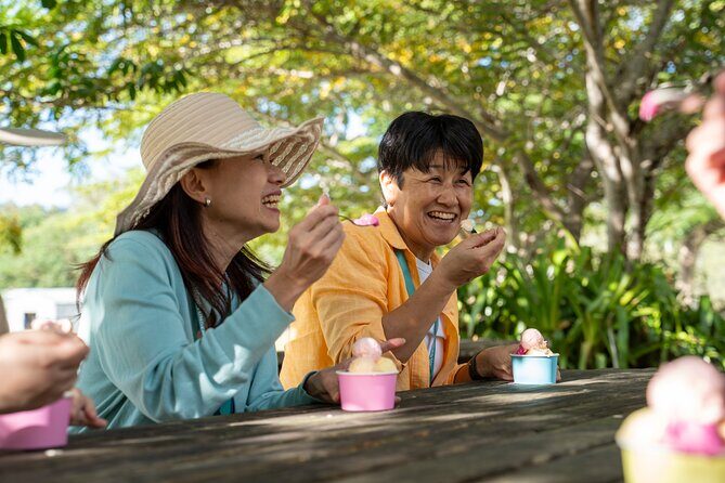 Small Group Waterfall Wetlands+ Skyrail All Inclusive from Cairns - A Deep Dive into the Tour Experience