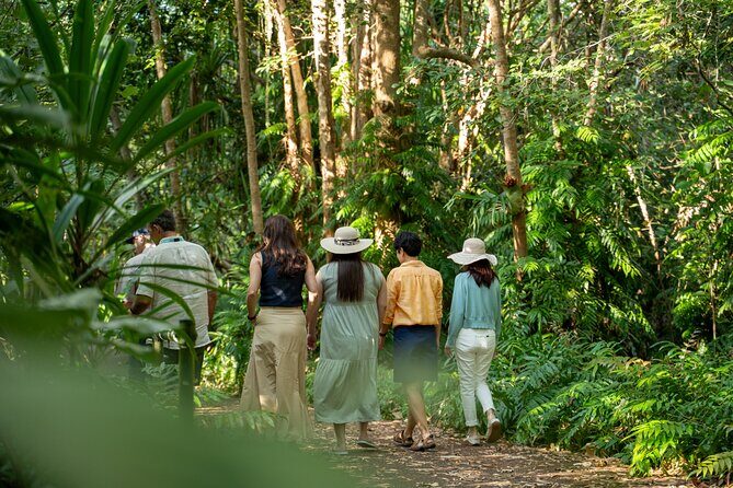 Small Group Waterfall Wetlands+ Skyrail All Inclusive from Cairns - Final Thoughts: Is This Tour Right for You?