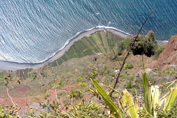 Small Group West Tour Waterfalls & Fanal Forest Tour - FAQ