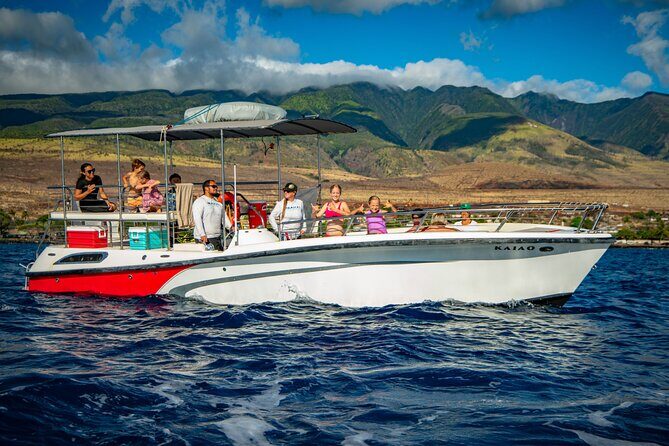 Small-Group Whale Watching Adventure - FAQ