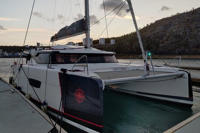 Small group Whale watching - What’s Included & What to Consider