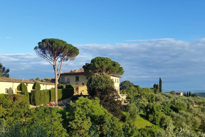 Small Group Wine Tasting in Tuscany with Vineyard Visit - The Sum Up: Is This Tour Right for You?